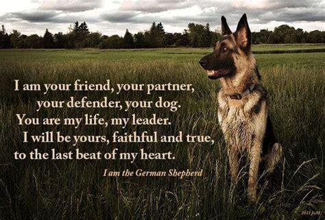 Know another quote from shepherd? Idaho premier German Shepherd Breeder | Angel Day Shepherds
