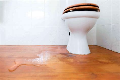 What To Do If Your Toilets Leaking At The Base Fixed Today Plumbing