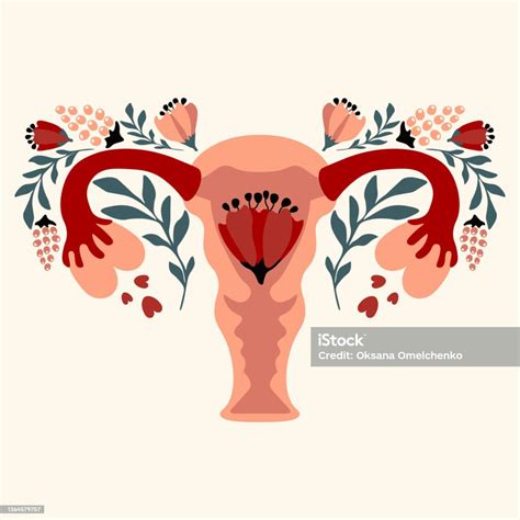 Flowery Female Reproductive System Flowers Floral Feminine