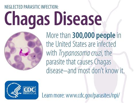 CDC - Chagas Disease - General Information - Vector Information