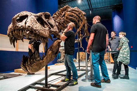 The Best Dinosaur Museums In The World Readers Digest