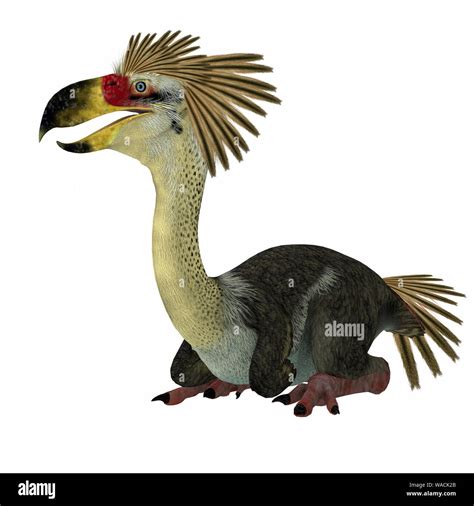Phorusrhacos Was A Flightless Carnivorous Terror Bird Of Prey That