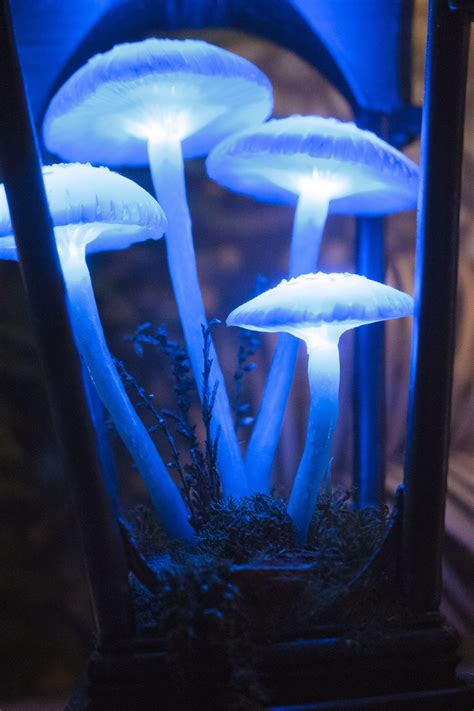 Mushroom Lamp Blue Mushroom Night Light Mushrooms Fungi Lamp