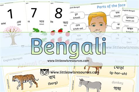 Free Bengalienglish Dual Language Printable Early Yearseyfspreschool