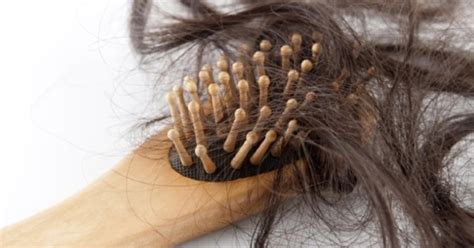 Chute De Cheveux Chronique Solutions Naturelles Efficaces Et Testées