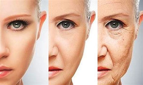 Envejecimiento CutÁneo Piel Dermatologia