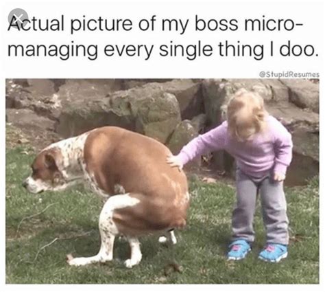 24 Funny Work Memes To Enjoy On Your Break Funny Gallery Ebaums World