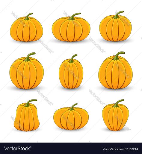 Set Pumpkins In Different Sizes And Shapes Vector Image