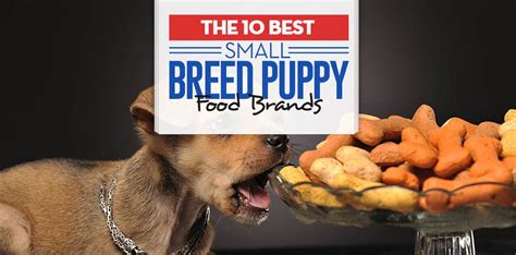 Top 10 Best Small Breed Puppy Foods Of 2018