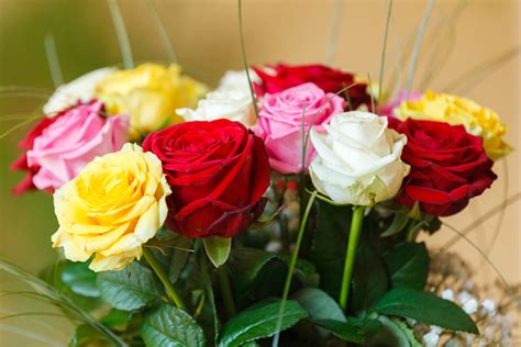 Colorful Roses Bouquet Free Stock Photo Public Domain Pictures