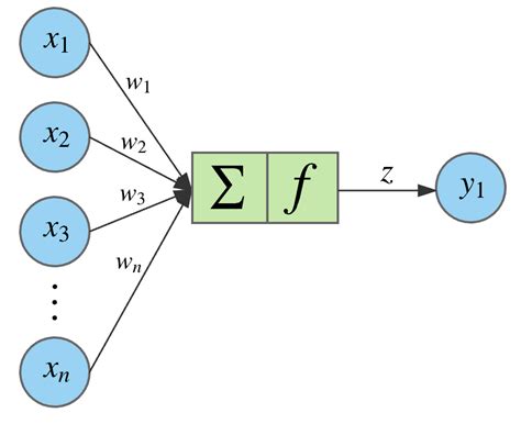 Introduction To The Neural Network Model Glossary And Backpropagation