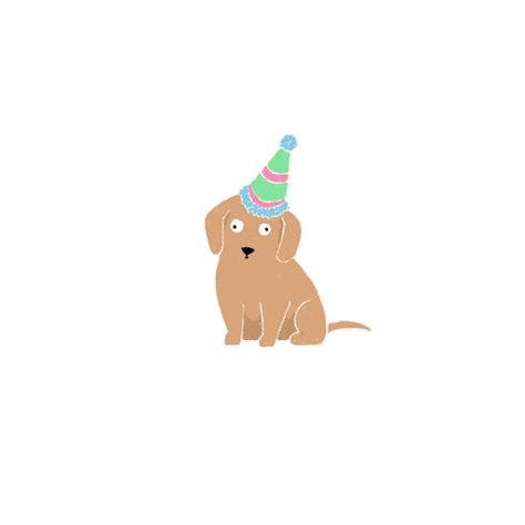 Find & download free graphic resources for birthday dog. Party Hat GIFs - Find & Share on GIPHY