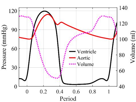 Human Blood Pressure Waveform A Wiggers Diagram Redrawn Based On