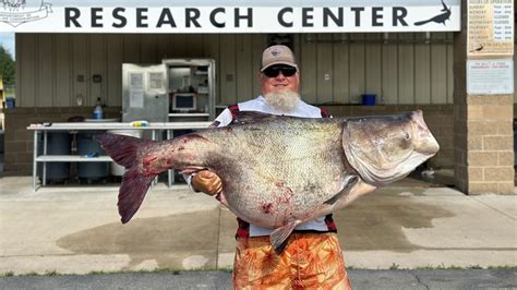 Man Reels In Oklahoma State Record 118 Pound Bighead Carp From Grand