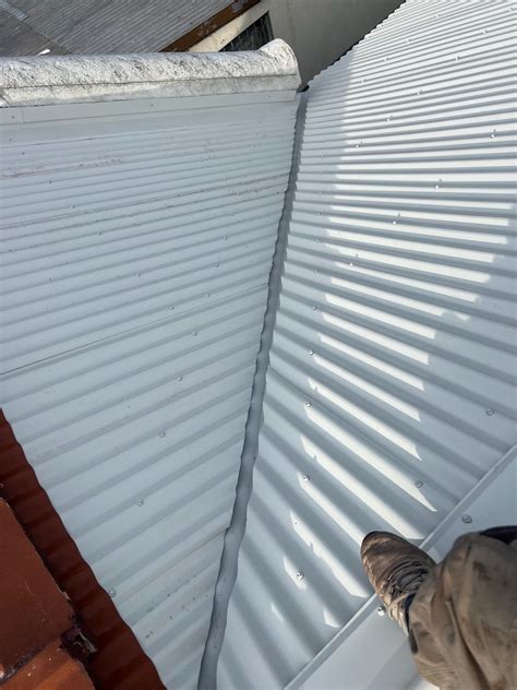 Colorbond Metal Roof Marrickville Green Frog Roofing