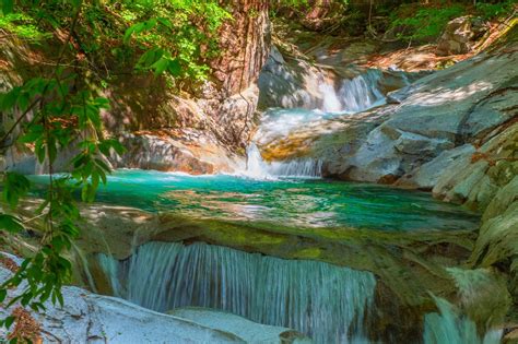 Flowing Water Plant Long Exposure 1080p Water Waterfall Forest Foliage Land Tree