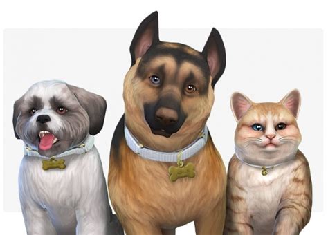Daydreamin Eyes For Cats And Large And Small Dogs At Nolan Sims Sims 4