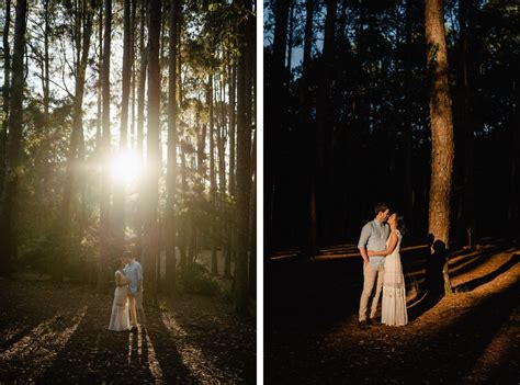 Watagans Pine Forest Engagement Shoots — Newcastle And Hunter Valley