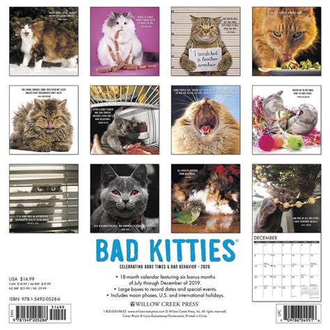 Bad Kitties 2020 Wall Calendar By Willow Creek Press 9781549205286