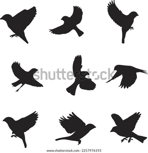 Flying Sparrow Silhouette Over 4505 Royalty Free Licensable Stock
