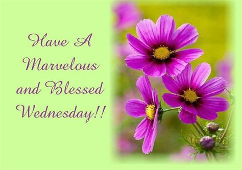 Have A Marvelous And Blessed Wednesday Pictures Photos And Images