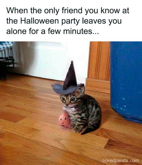 73 Hilarious Memes For People Who Are Way Too Into Halloween Its Magazine