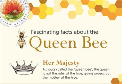 7 Fascinating Facts About The Queen Bee Big Island Bees
