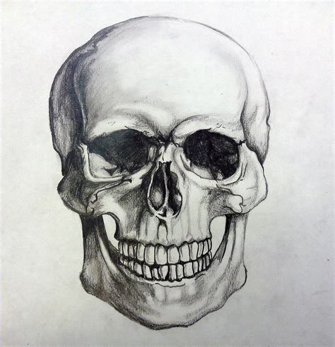 Skull As Level Coursework Skull Drawing Skulls Drawing Skull Sketch