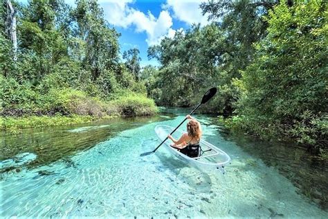 Rock Springs 2 Hour Glass Bottom Guided Kayak Eco Tour 2024 Orlando