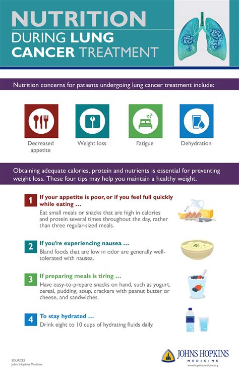 Nutrition During Lung Cancer Treatment Infographic Johns Hopkins