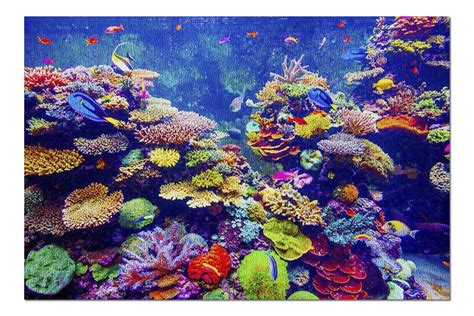Bright Vibrant Colorful Reef With Tropical Fish In Aquarium 9004324