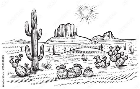 Desert Landscape Vector Illustration With Saguaro And Opuntia Blooming