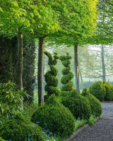 Clive Nichols On Instagram Hornbeam And Box At Mitton Manor Expertly