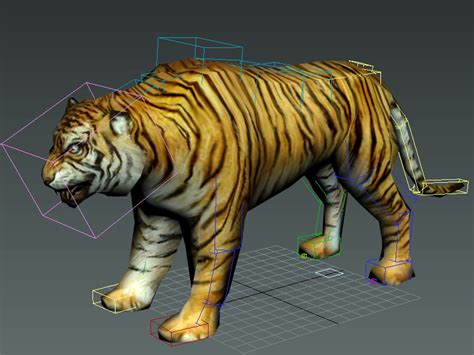 Tiger Rigged 3d Model 3ds Max Files Free Download Modeling 45896 On