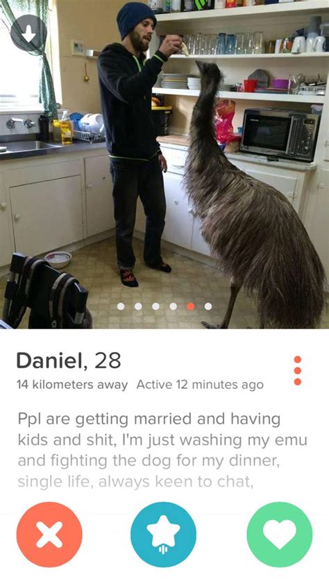 48 Of The Best Tinder Profiles Ever Gallery Ebaums World