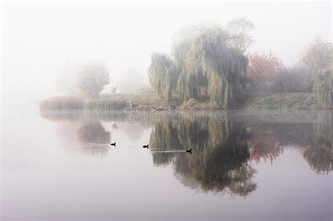 Morning Mist Over The Lake With Reflection In The Water Fog On A River