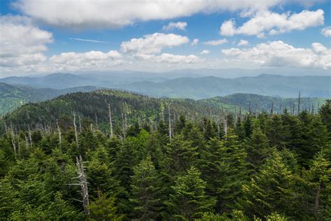 Meanderthals Clingmans Dome Area Trails Great Smoky
