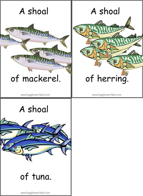 Most collective nouns in everyday speech are not specific to one kind of thing, such as the word group, which can be applied to people (a group of people) or dogs (a group of dogs) or other things. Animal Collective Noun Flashcards