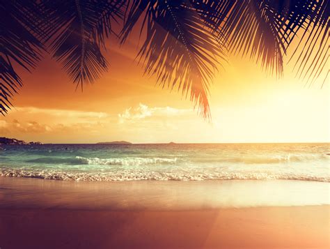 2160x3840 Landscape Beach Tropical Sun Sony Xperia Xxzz5 Premium Hd