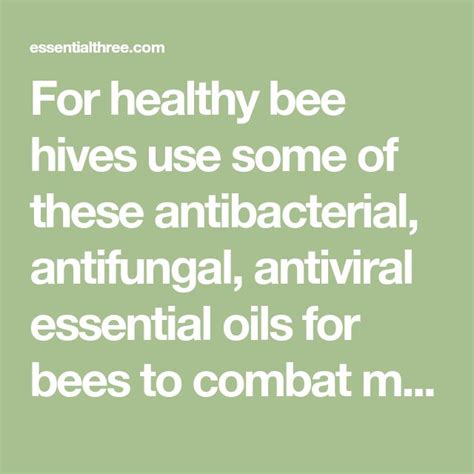 Use Essential Oils For Bees And Their Bee Hives To Keep Them Healthy