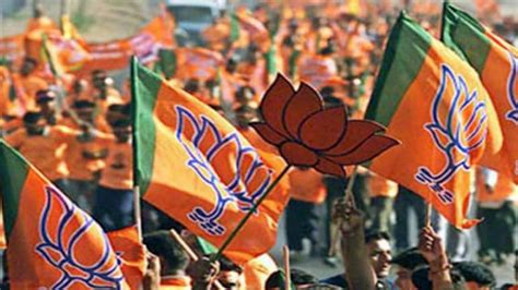 Madhya Pradesh Local Body Polls Bjp Wins Big Aap Debuts Congress Calls Results Encouraging