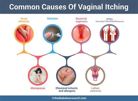 Vaginal Itching Diabetes The Causes Behind Vaginal Itching
