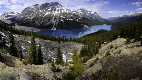 Desktop Wallpapers Banff Canada Peyto Lake Nature Mountain 2560x1440