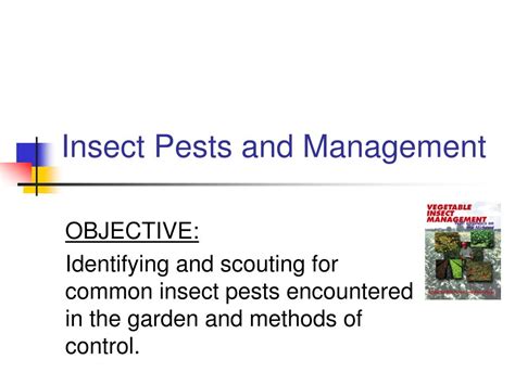 Ppt Insect Pests And Management Powerpoint Presentation Free