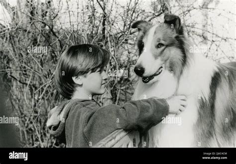El Perro Collie Lassie Y El Actor Tom Guiry En La Película Lassie De