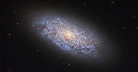 Hubble Displays A Dwarf Spiral Galaxy Nasa
