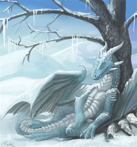 Image Result For Snow Dragon Fantasy Dragon Snow Dragon Dragon Pictures