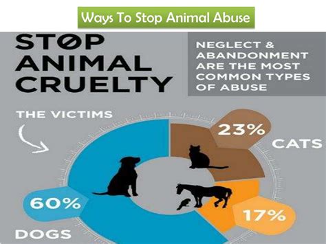 Ppt How To Stop Animal Abuse Powerpoint Presentation Free Download