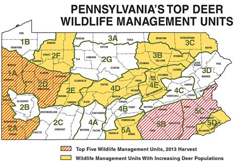 Full O'Bull Gazette: Follow The Map To Whitetails On PA Gamelands