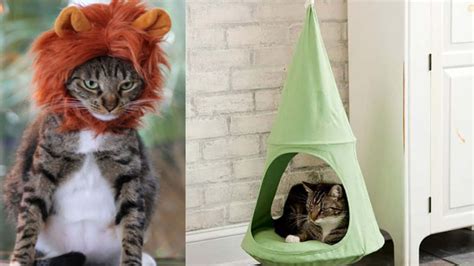 20 Awesome Things For Cool Cats